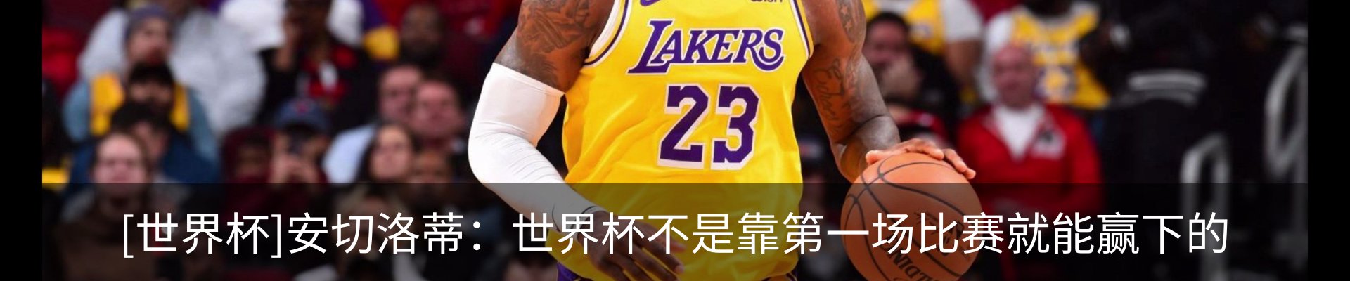 最新动态